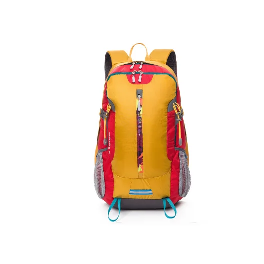 Hiking Bag/Travel Backpack